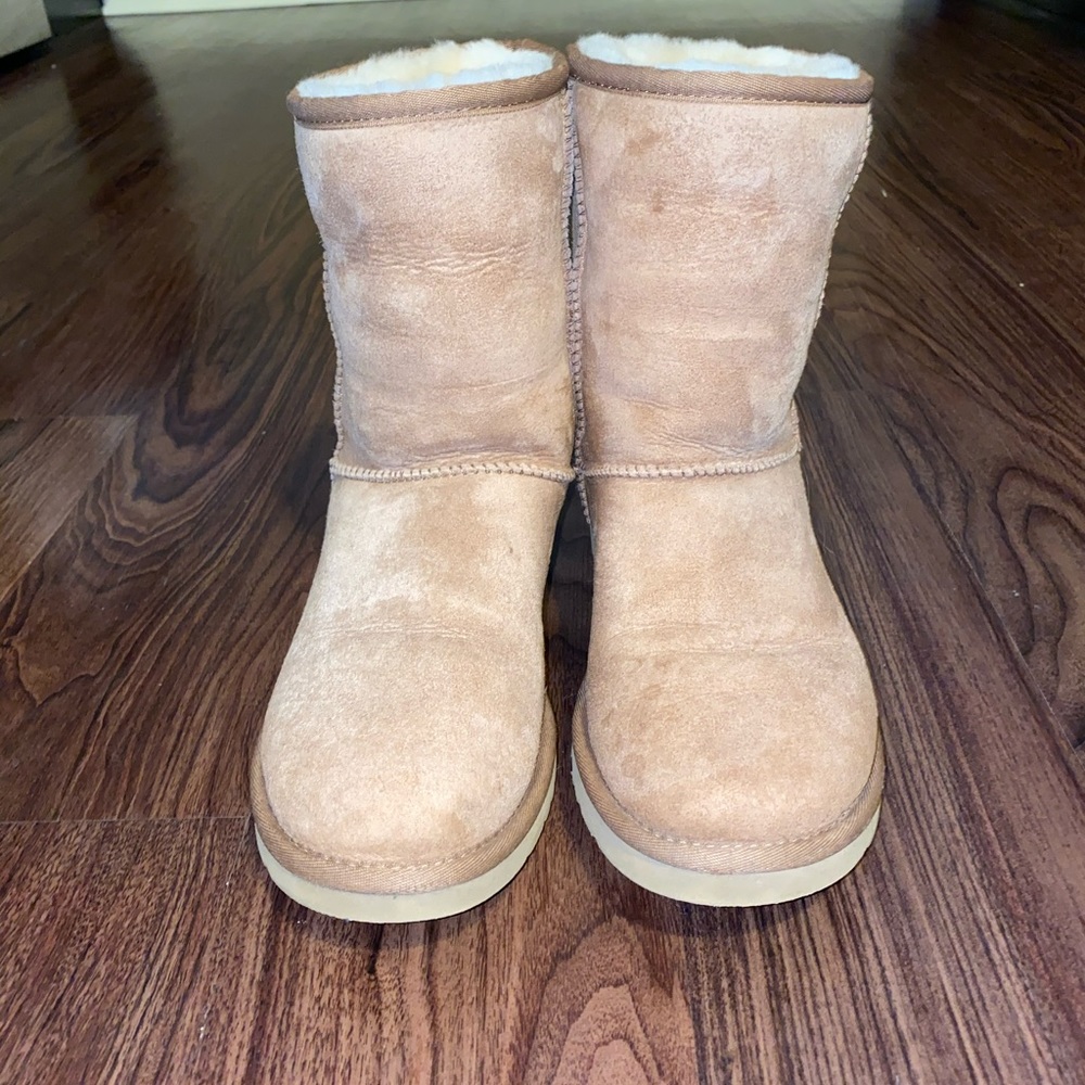 Lightly worn Chesnut Tall Uggs